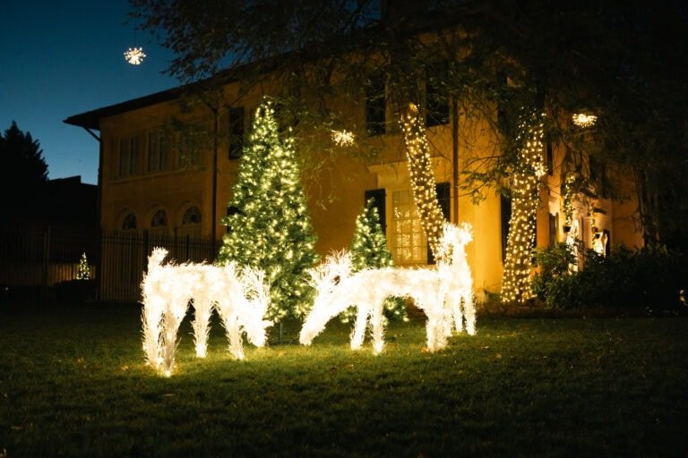 Chirstmas light display on commercial lawn created by alpha holiday lighting near Chesterfield, VA