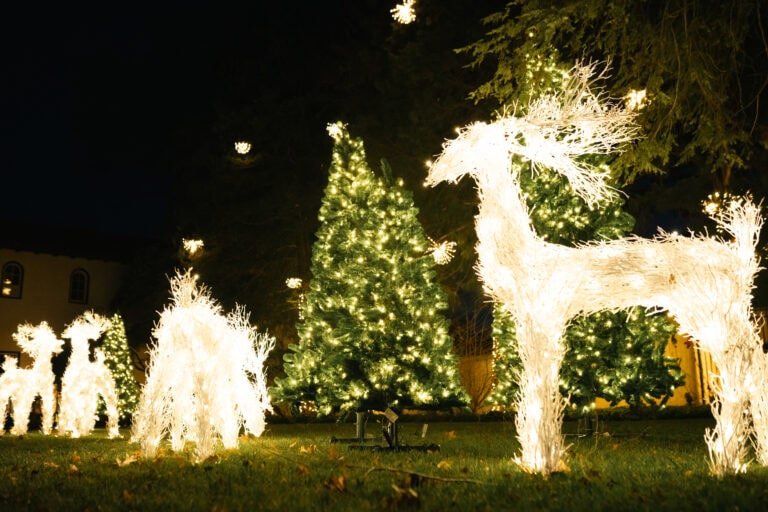 Outdoor christmas trees and reindeer by alpha holiday lighting near short pump VA
