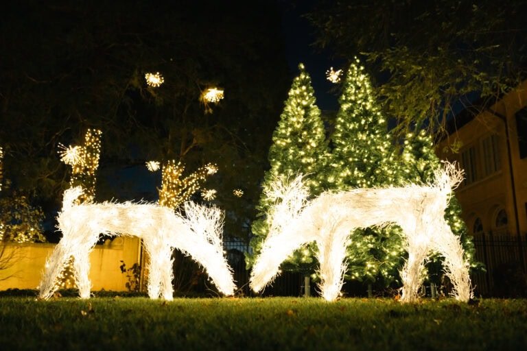Outdoor christmas trees and reindeer by alpha holiday lighting near Mechanicsville VA