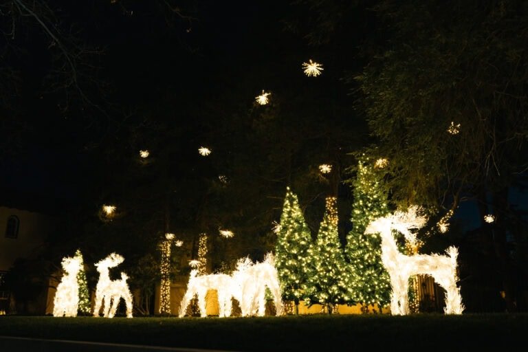 Outdoor light display by alpha exterior solutions and holiday lighting near ashland VA