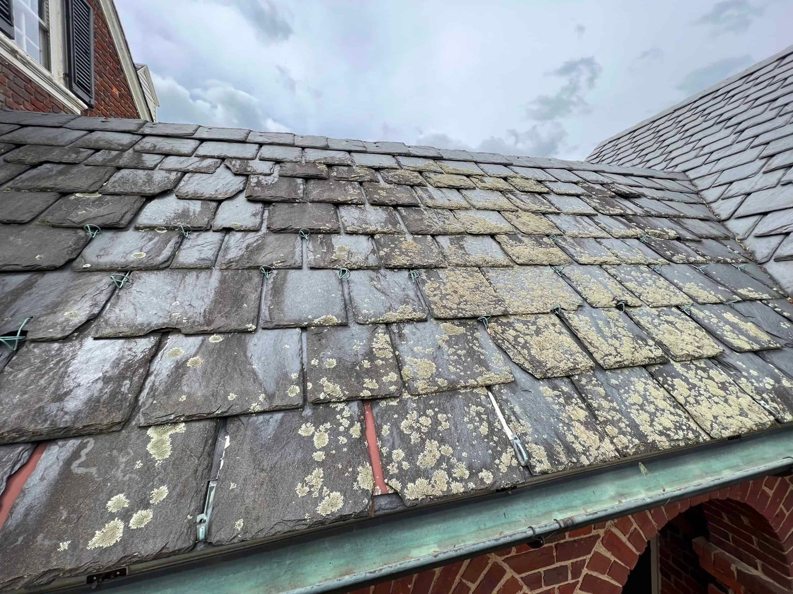 cedar roof before professional roof cleaning and soft washing by alpha exterior solutions, covered in algae and growth