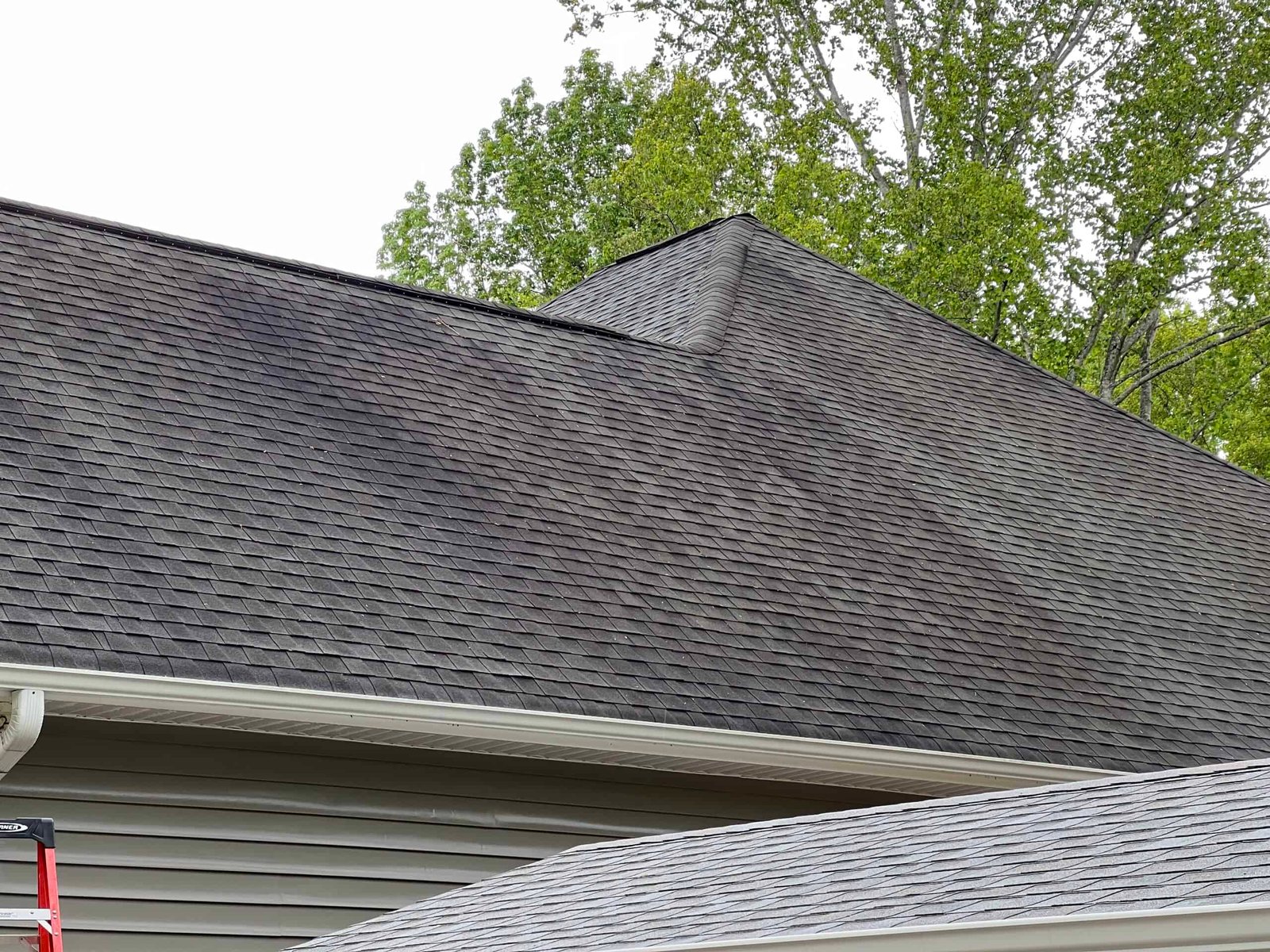 Asphalt shingle roof stained from wear and tear before roof cleaning and soft wash by alpha exterior cleaning solutions in richmond virginia