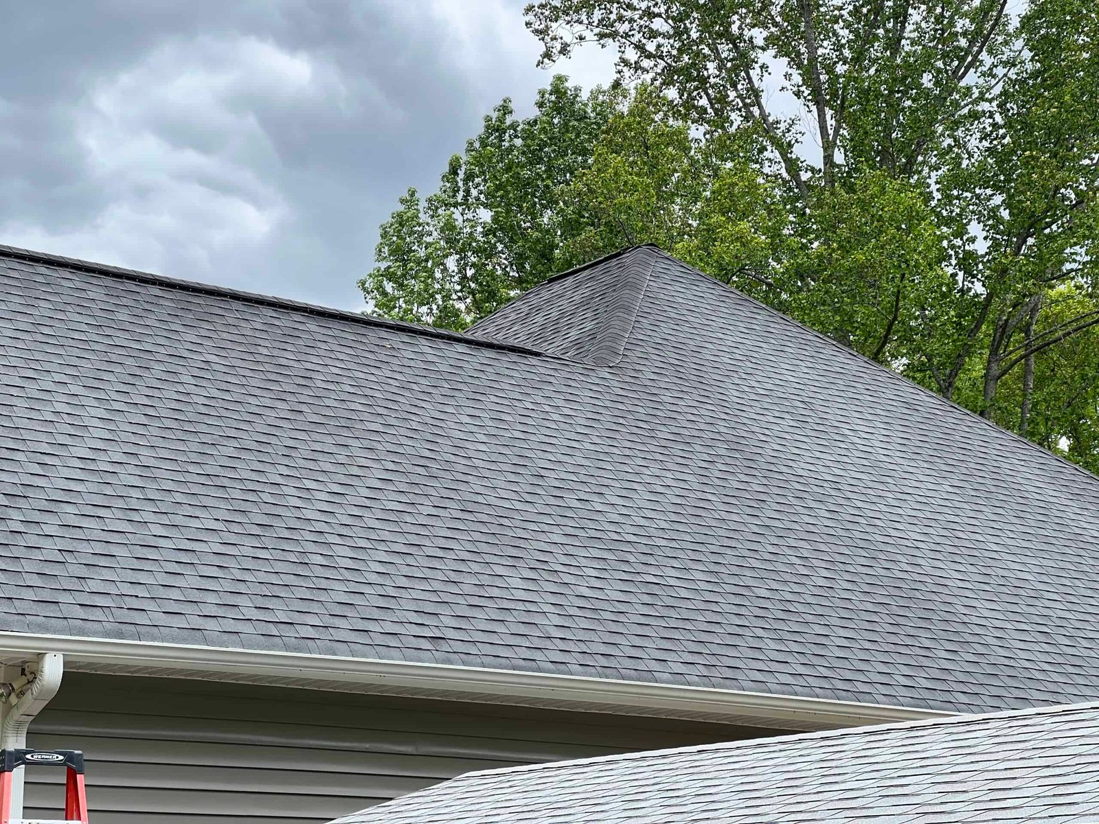 Asphalt shingle roof cleaned and soft washed by alpha exterior cleaning solutions in richmond virginia