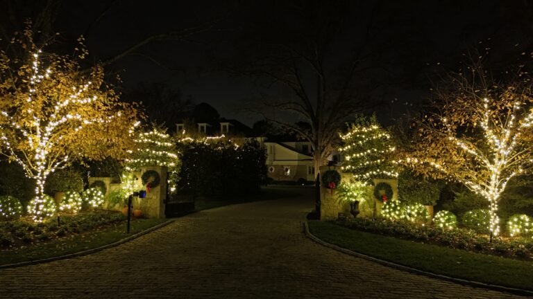 Commercial entry way professionally decorated by alpha exterior solutions and holiday lighting