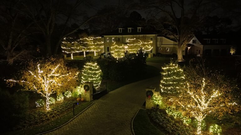 Commercial entry way professionally decorated by alpha exterior solutions and holiday lighting near Hanover, VA