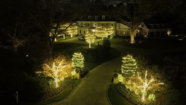 Overhead shot of Residential entry way professionally decorated by alpha exterior solutions and holiday lighting near powhatan va