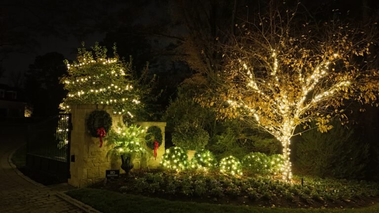 Overhead shot of Residential entry way professionally decorated by alpha exterior solutions and holiday lighting near goochland va