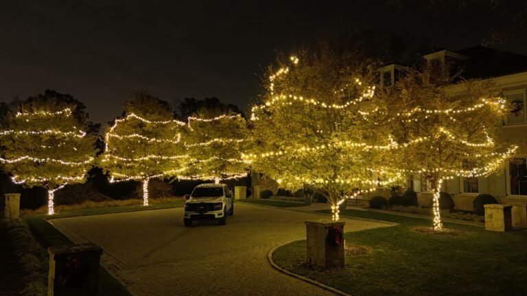 Large entry display with christmas light wrapped trees and alpha holiday lighting service truck