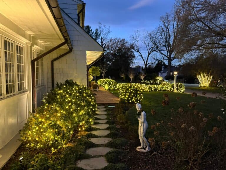 Alpha Holiday Lighting Services