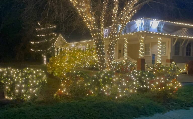 Residential christmas light display by alpha exterior solutions in Tuckahoe VA