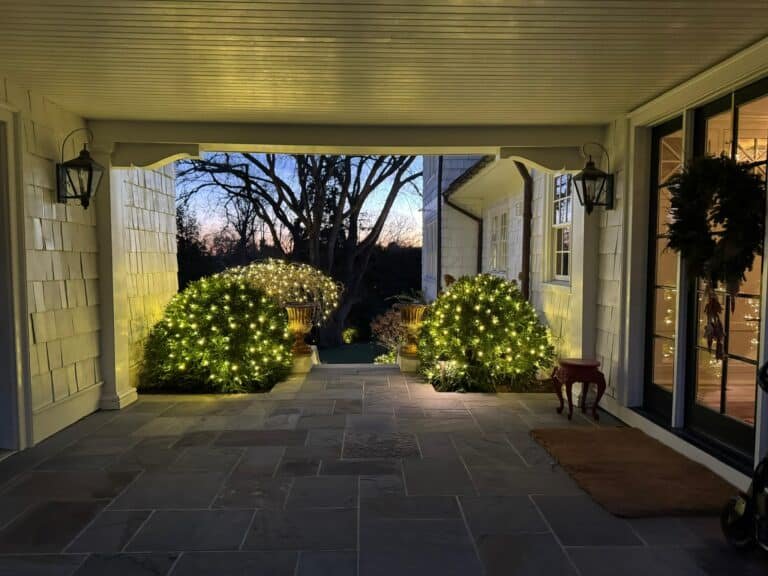 Alpha Holiday Lighting Services