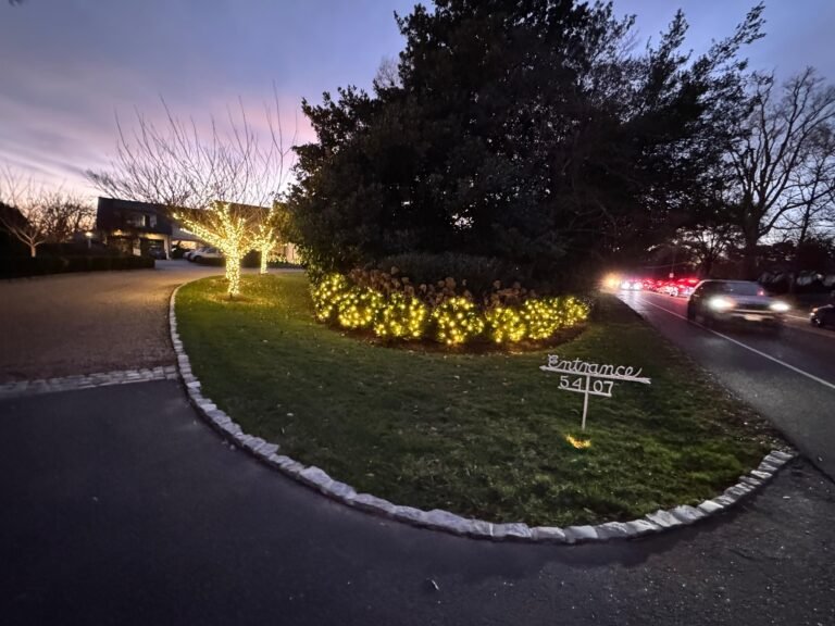 Residential Holiday Lighting display in Short Pump VA