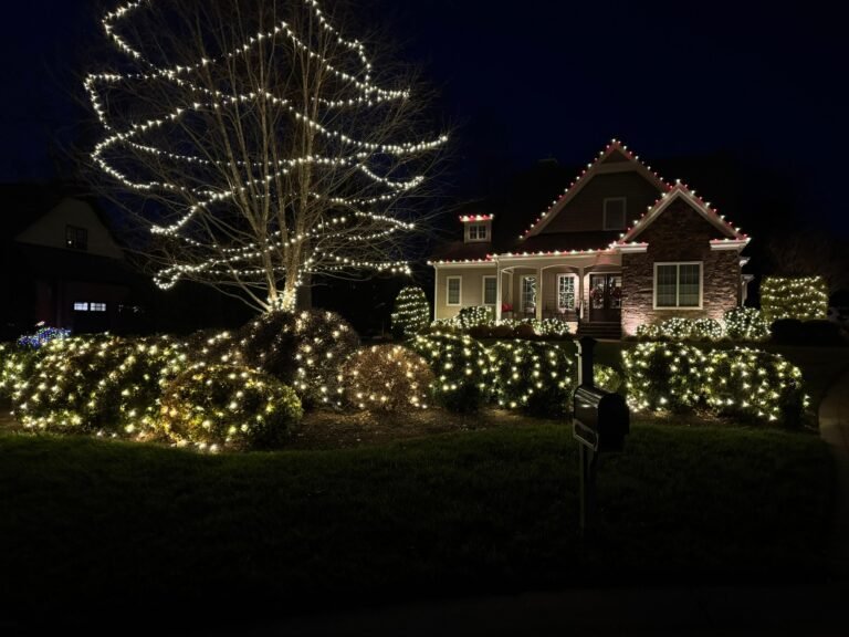 Holiday lighting for christmas in Henrico VA