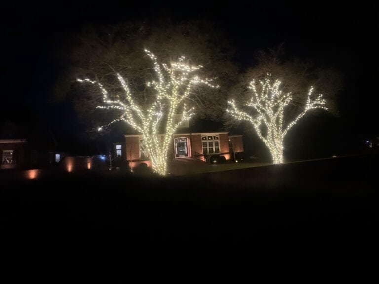 Residential property Christmas light installation by alpha holiday lighting in Moseley VA