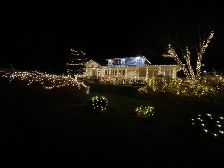 Alpha Holiday Lighting Services In Midlothian VA