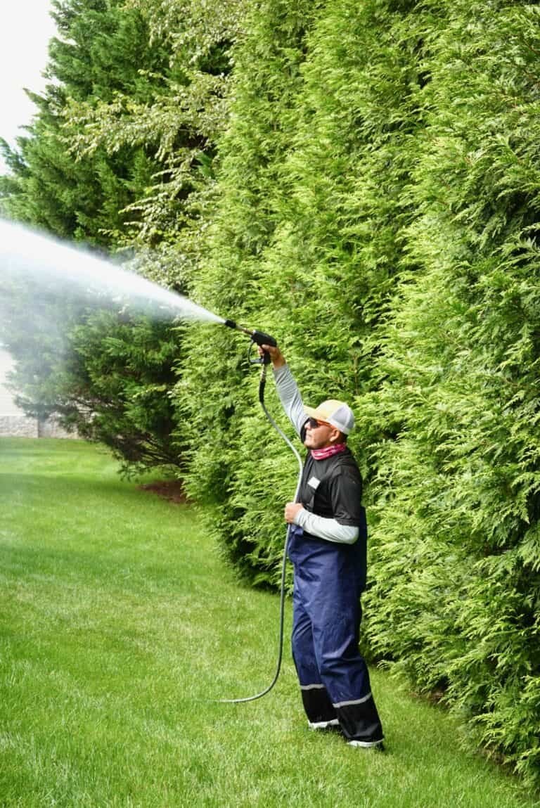 exterior pressure washing by alpha exterior solutions in va