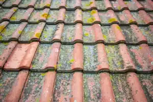 roof cleaning richmond va