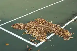 how to clean mold off tennis courts