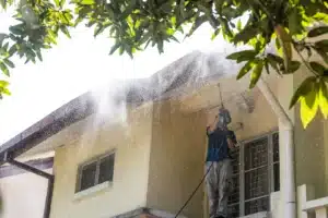 roof cleaning services