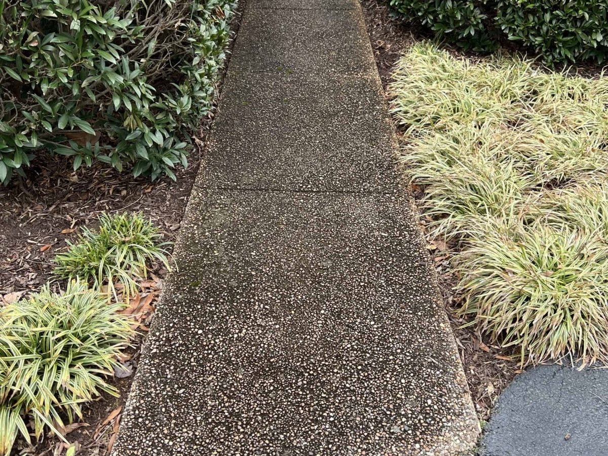 Pebble stone walkway before soft washing by alpha exterior solutions in short pump virginia