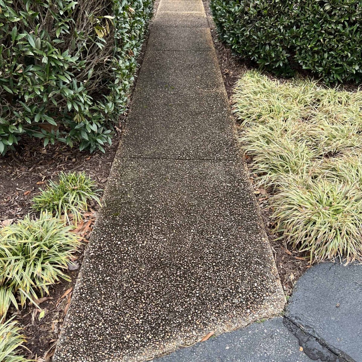 Concrete walkway before and after professional pressure washing in Henrico Virginia