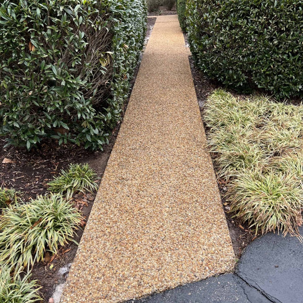 Concrete walkway after professional pressure washing and paver sealing in Henrico Virginia