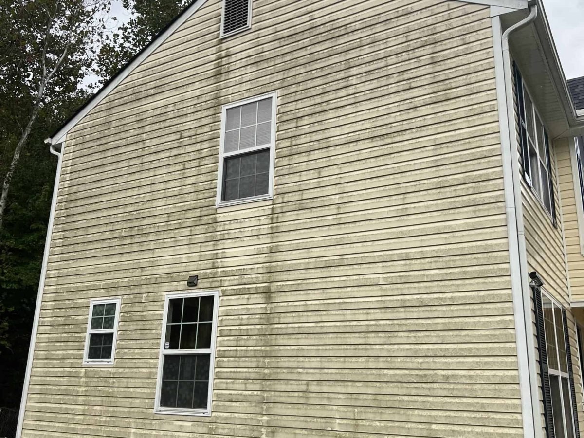residential home with vinyl siding before soft washing, biocide application & algaecide treatment