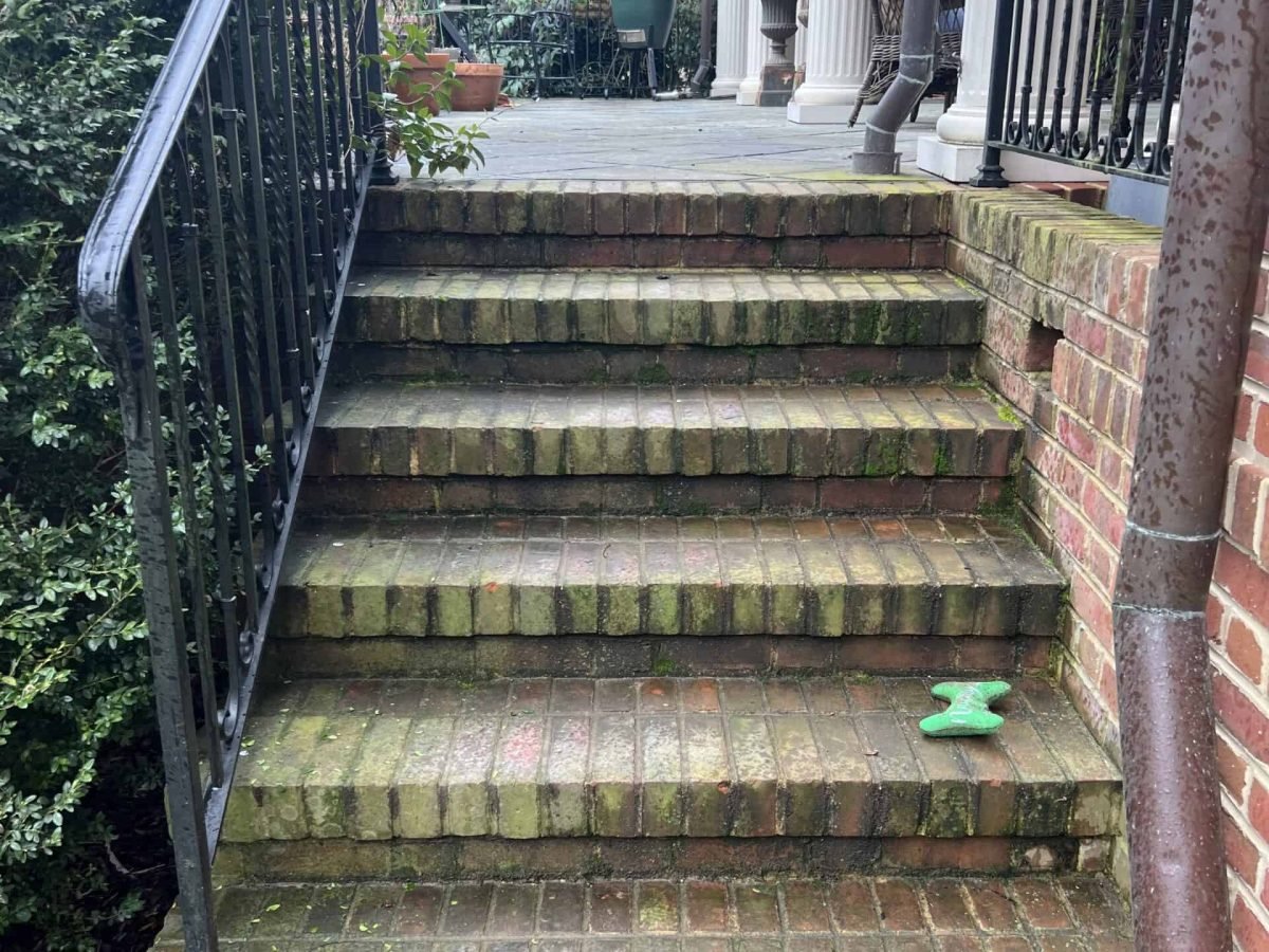 residential brick patio stairs before cleaning by alpha exterior solutions in ashland va